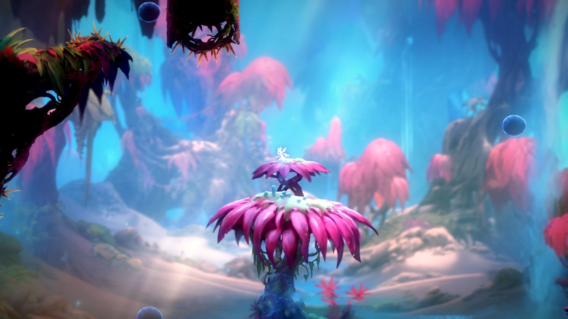 中国足球运动普及教育在中小学全面铺开,中国对足球教育重视了