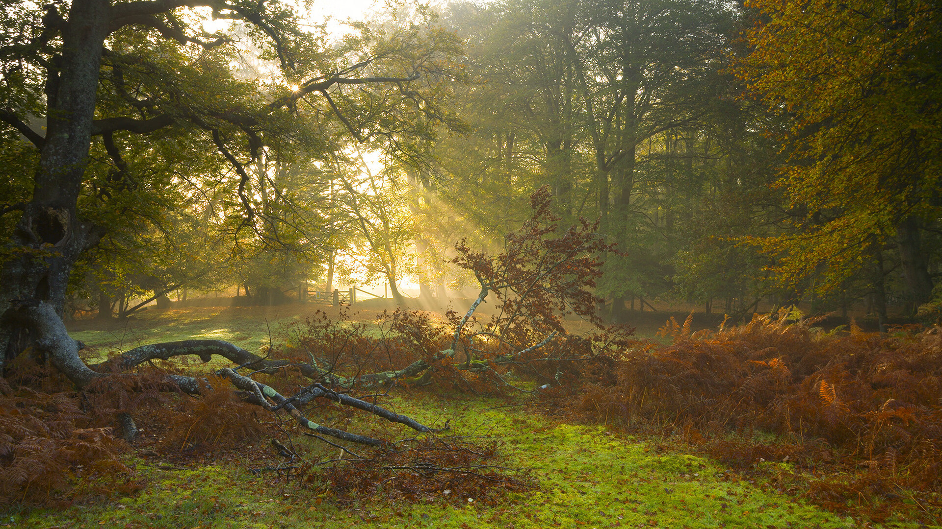 开云网页版登录入口-“粉丝狂欢夜，赛事现场气氛火爆，赢得无数荣耀”，粉丝活动中心官网