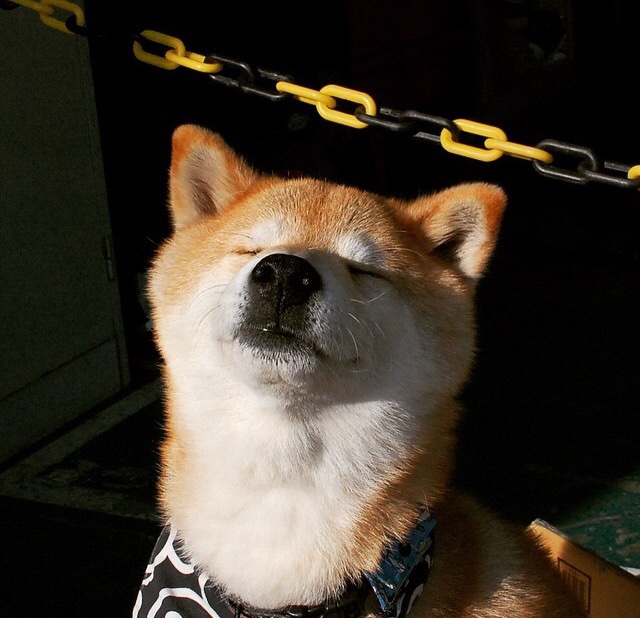 传奇教练的战术思想“秘籍”大公开,nba_传奇教练