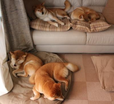 全国青少年“篮球+创新”创业孵化基地在广州正式启动，推动行业高质量发展