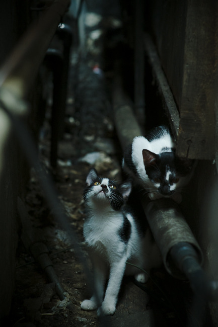 哥伦比亚女足在巴黎奥运会比赛中以2-1击败阿根廷，哥伦比亚足球2021